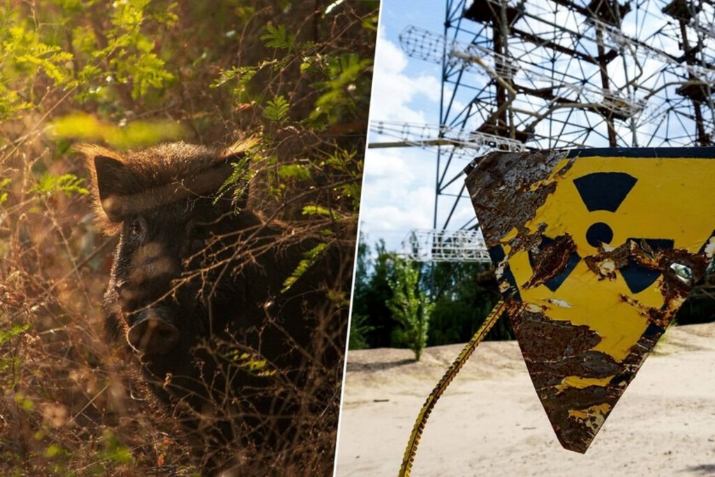 Llevamos décadas buscando 