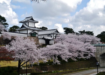 Kanazawa Kanazawa Jo Sakura 06