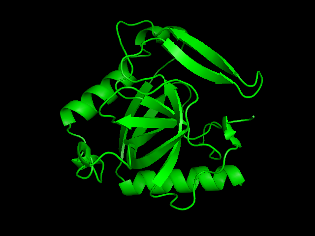 proteinas