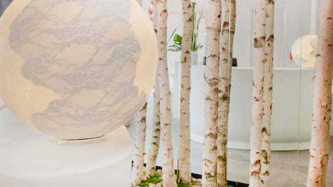 Foto de Hotel Chavanel (10/17)