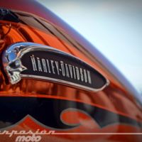La reestructuración de Harley-Davidson se carga 118 puestos de trabajo en York County