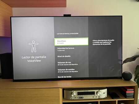 VoiceView