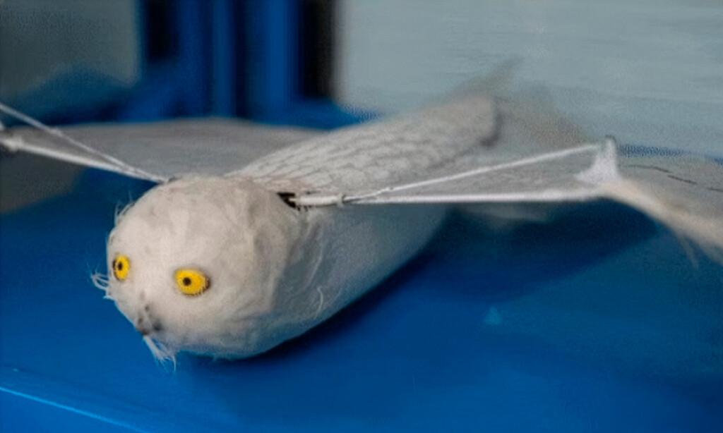 Durante años hemos asociado los drones a las hélices: en China exploran una alternativa inspirada en la naturaleza 