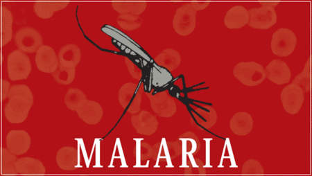 Dos pistas para la resistencia a la malaria