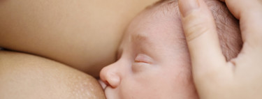 Un gran avance: investigadores mexicanos logran conservar la leche materna en polvo