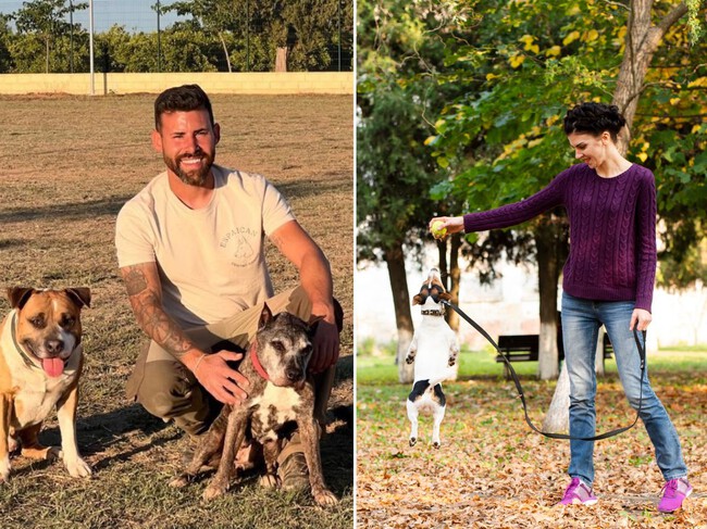 Largo de la cadena para perros en parques caninos