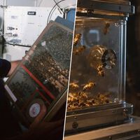 En 1984, la NASA envió 3301 abejas al espacio para ver de qué eran capaces. Siete días después habían construido 200 cm² de hexágonos