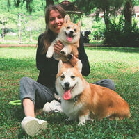 Japón se preguntó cuántas veces puedes clonar a tu perro y 20 años después ha terminado el experimento. El límite está en 57