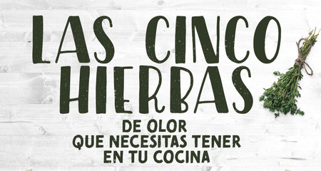 Las 5 hierbas de olor que necesitas tener en tu cocina. Infografia