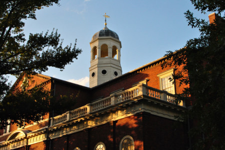Un nuevo estudio de Harvard revela los beneficios de las gangas. Cazando gangas