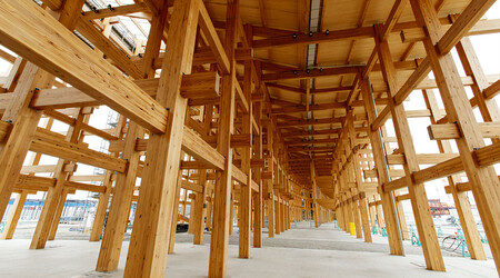 Madera 03