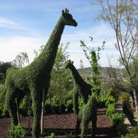 El Bosque encantado, el jardín madrileño que enamoraría a Eduardo Manostijeras
