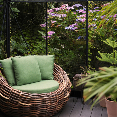 Este es el mejor árbol frutal para cultivar en el patio trasero, ya que proporciona sombra y no agrieta el suelo 