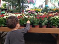 Plantar semillas con niños, mucho más que el simple gesto de sembrar