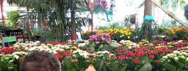 Plantar semillas con niños, mucho más que el simple gesto de sembrar