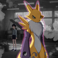 Pokémon TCG Pocket tendrá el mismo rival que en los 90. Los dueños de Digimon tantean un "nuevo juego de cartas"