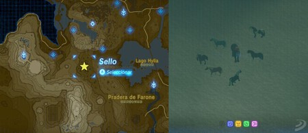 Phantom Botw