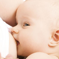 Por qué los bebés que toman leche materna no necesitan comer yogures ni beber leche de vaca