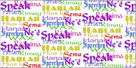 ¿Qué idioma es el mejor para comunicarse? (II)