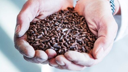 Bacterias + metano = alimentos