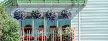 Cuatro plantas que ayudan a mejorar el ambiente en terrazas: son fáciles de cuidar y refrescan el ambiente