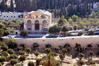 El Monte de los Olivos en Jerusalén (II)