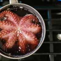 Nunca llueve a gusto de todos: acabamos de descubrir que las precipitaciones han causado estragos en el pulpo gallego