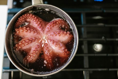 pulpo gallego