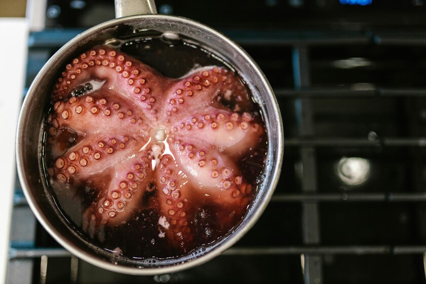 Nunca llueve a gusto de todos: acabamos de descubrir que las precipitaciones han causado estragos en el pulpo gallego