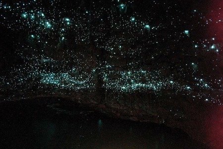 Las luces colgantes de la cueva de Waitomo y otras formas de iluminar la oscuridad