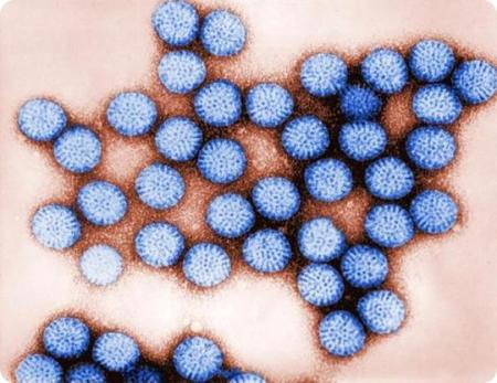 En invierno se duplican los casos de gastroenteritis por rotavirus