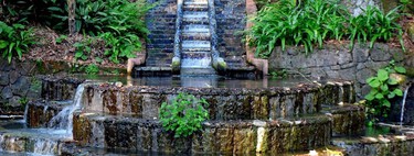 En Veracruz existe un pequeño oasis que es comparado con Xilitla, tiene manantiales de agua cristalina y es ideal para desconectarte 