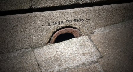 Las ratas no quieren que llegue la fibra óptica a Extremadura