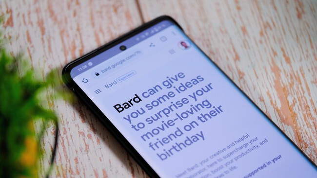 Bard