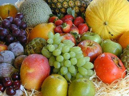 Un intestino sano para funcionar mejor