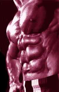 ¿Abdominales inferiores y superiores? Mentira, pero no del todo