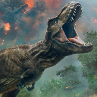 Así era la esperanza de vida de los dinosaurios más famosos según la ciencia. El Tiranosaurio Rex no tenía crisis de los 40 