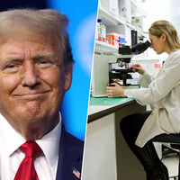 Si la pregunta es a dónde van a ir los científicos de EEUU tras los recortes de Trump, la respuesta es obvia: a Europa y España