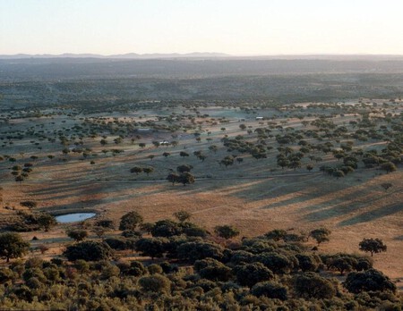 Espacio Natural San Pedro 1