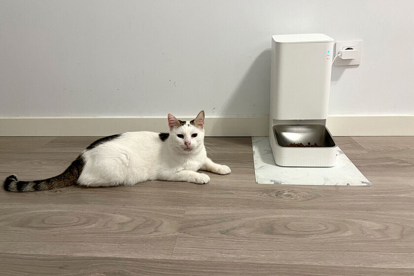 https://www.compradiccion.com/electrodomesticos-y-hogar/este-dispensador-comida-inteligente-xiaomi-esta-a-mitad-precio-may-dar-comer-20-dias-a-tu-mascota