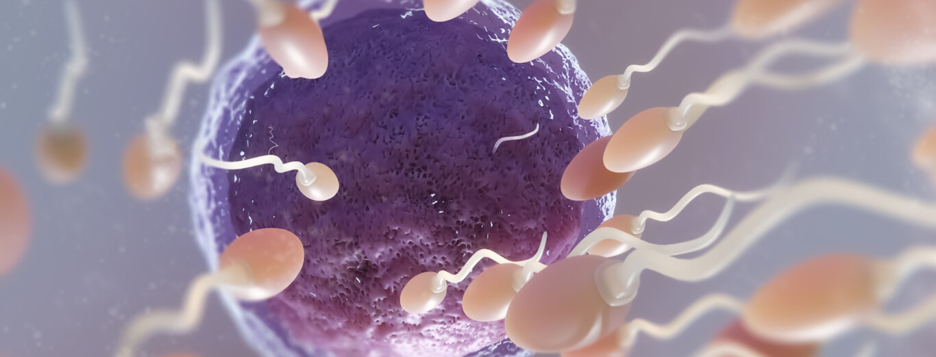 El esperma también envejece: los hombres mayores de 45 años tienen un 31% más de mutaciones genéticas que los menores de 30