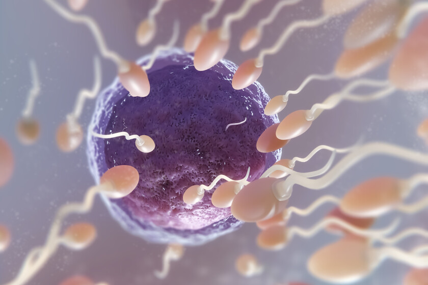 El esperma también envejece: hombres mayores de 45 años tienen un 31% más de mutaciones genéticas
