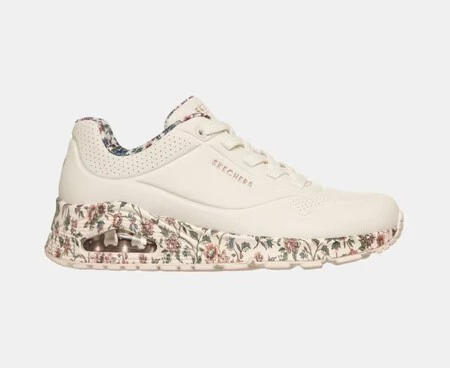 Safari