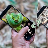 Cómo saber si una foto es real o un deepfake: la nueva herramienta de Google funciona como un DNI para imágenes