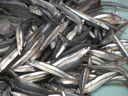 Fish Clove Fish Sea Food Sea Fishery Market 1613554 Pxhere Com