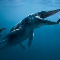 Científicos tardaron 20 años en identificar un fósil en México: un monstruo marino especializado en presas grandes 