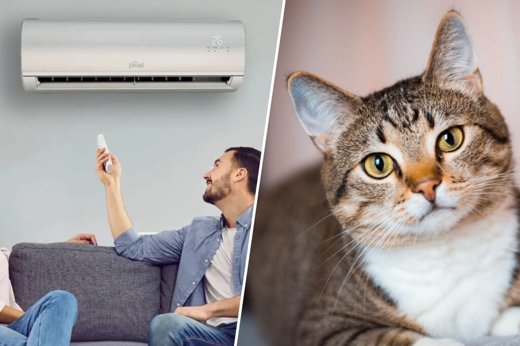 Los expertos veterinarios lo tienen claro: por esto tu gato desaparece cuando enciendes el aire acondicionado 