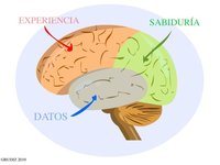 ¿Qué es el "conocimiento empresarial"?