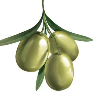 Aceituna para prevenir el cáncer