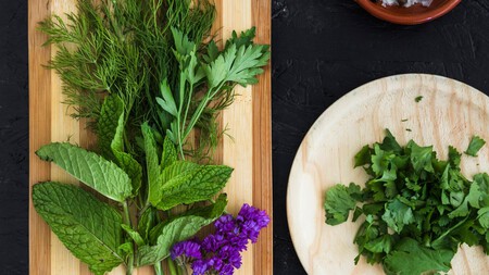 Top 3 de plantas aromáticas que puedes sembrar en agosto: fáciles de cuidar y que ahuyentan las plagas de tu jardín